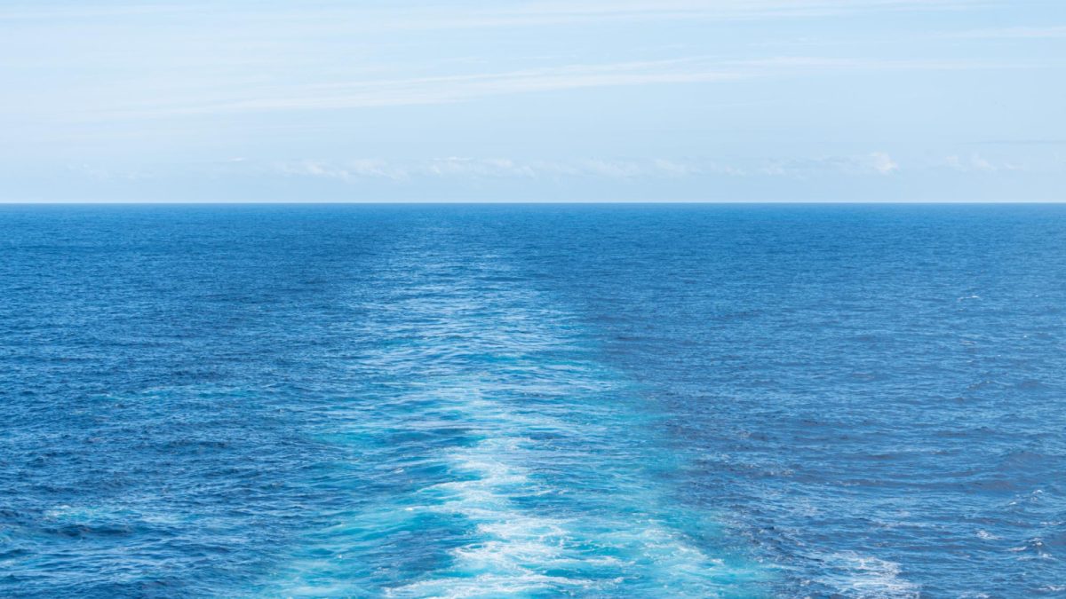 Le plaisir de l'océan : vivez une expérience inoubliable sur un yacht